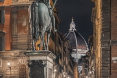 Firenze-horse-web
